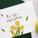 제이조이플 이미지