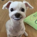 연수 대중탕 | 브라이튼 어학연수 4~5주차 | EF 브라이튼 | 스톤헨지 후기 | ef학기제 | 영국 일상