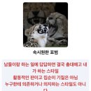 모바일세상 이미지