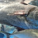 농수산물도매시장_서 이미지