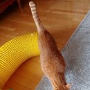 파인드스토리 이미지