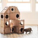 고양이집 이미지