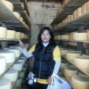 월출목장 이미지