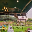 &lt;용인 북 카페&gt; 꿈꾸는 정원/블로그 마을 주민 샨띠정님의 카페