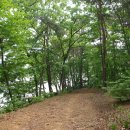 강건너맛집 이미지