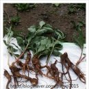 오향골농장 이미지