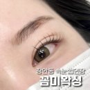 합정역 2번 출구 KT대리점 앞 | 자연스러운 장안동 답십리 속눈썹연장 꼼미왁싱 솔직 후기