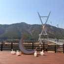 보현산 전망대카페 | 경북 영천 가볼만한곳 영천 여행 보현산댐 출렁다리