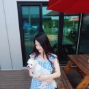 가을이네민박 이미지