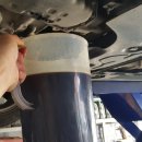 뉴성주카 이미지