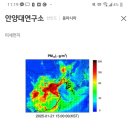 중국 미먼 진짜 애바다 이미지