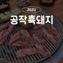 공작흑돼지 | 제주 함덕 흑돼지 먹으러 다녀온 공작흑돼지 후기