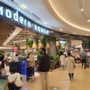 모던하우스 이미지