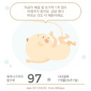 규니왕타코 이미지