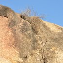 남현동-2 이미지