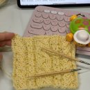 주은세탁 | 보송니트x솜솜뜨개 타르트 케이프 가디건 🧁🍋 테스트니팅 후기