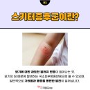 세종365의원 이미지