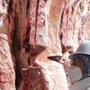 닭오리공판장 이미지