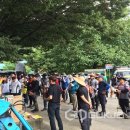 보은양과 이미지