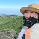 돼지 노래연습장 이미지