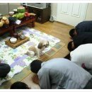 우째이런일이 이미지