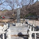 순천-35호 이미지