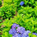 외양포공영주차장 이미지