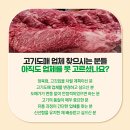 프라임미트유통