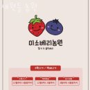 채원농원 이미지