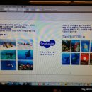 쿠스트래블