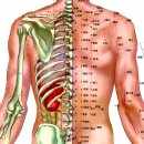 3H스마트 지압침대 이미지