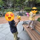 헬로토이 | 다이소 토이스토리 신상 구경! 헬로키티부터 비눗방울 리필까지 쇼핑 후기