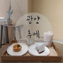 광양 카페: 애견동반 가능한 디저트 맛집 광영동 <b>루에</b>