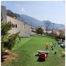 콩스빌리지 | 아파트에 살아 답답한 우리 순진이가 안전하게 마음껏 뛰어 놀 수 있어 좋았던 강화도 애견동반펜션