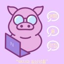 [대구 무인테니스장]몽키테니스존 칠곡 내돈내산 이용후기