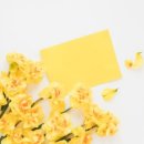 스마일마트 이미지