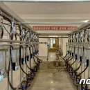 새 하나농장 이미지