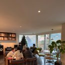 쌍방울애견 이미지