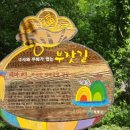 이병철농장 이미지