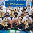 Dog CPR Technician Course 마치고~ 이미지