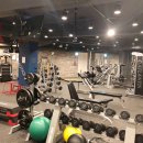 짐아서 휘트니스 이미지