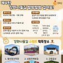 발밤발밤 이미지