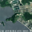 신안군 지도읍 당촌리 임야21223제곱,매1억7천,전남토지매매,신안토지매매 이미지