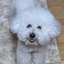 [10/24]플라워 클래스-화병 꽂이 | [구로 꽃꽂이] 꾸까 플라워클래스 2주차 후기🌷 화병꽂이 솔직리뷰