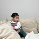 드타미프로젝트 무지개떡 셋업 후기 (15개월, M 사이즈)