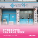 영진약국 이미지