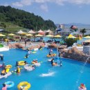 전라도나주
