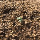 봉식농장 이미지