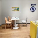 이동애견미용실 이쁘개 용인점 | 용인 수지구 강아지 유치원 옐레드 솔직 후기