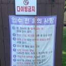 오림피아 수영장 | [장흥 오림피아 수영장] 취사 가능하고 어린이들 체력 속 빼놓는 올림피아 야외 수영장 #자리 선정 꿀팁...